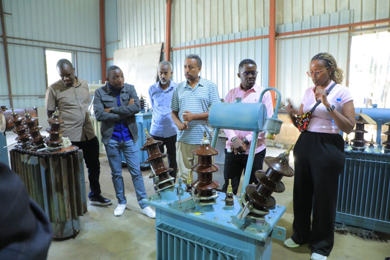 Bahir Dar Transformer Factory